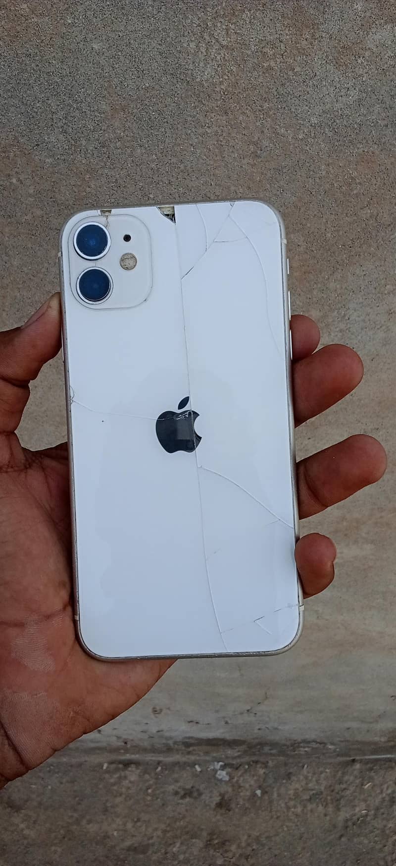 Apple iPhone 11 0