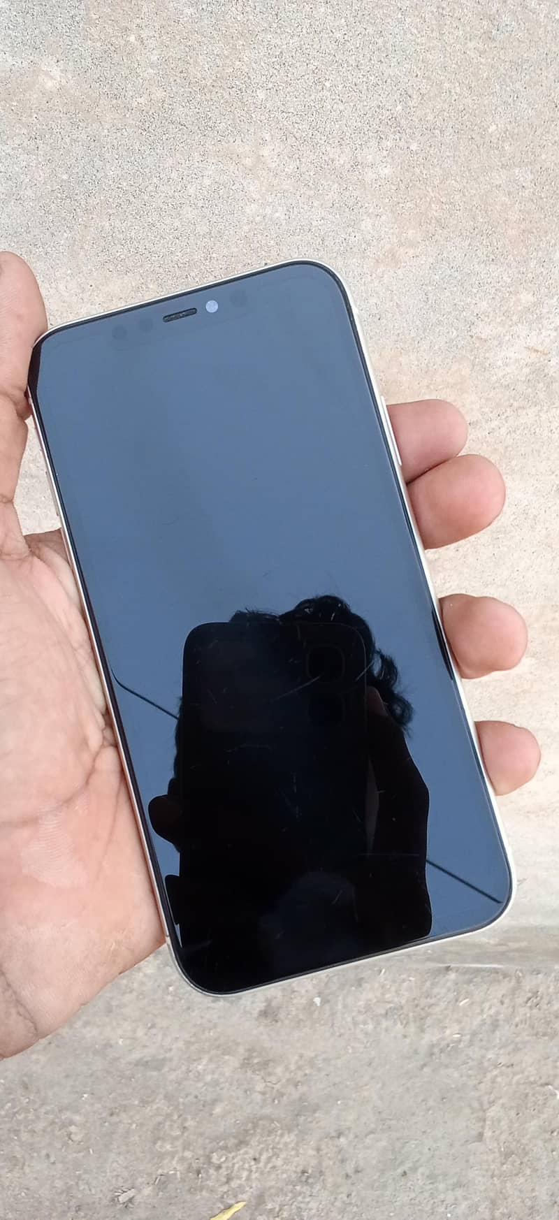Apple iPhone 11 1