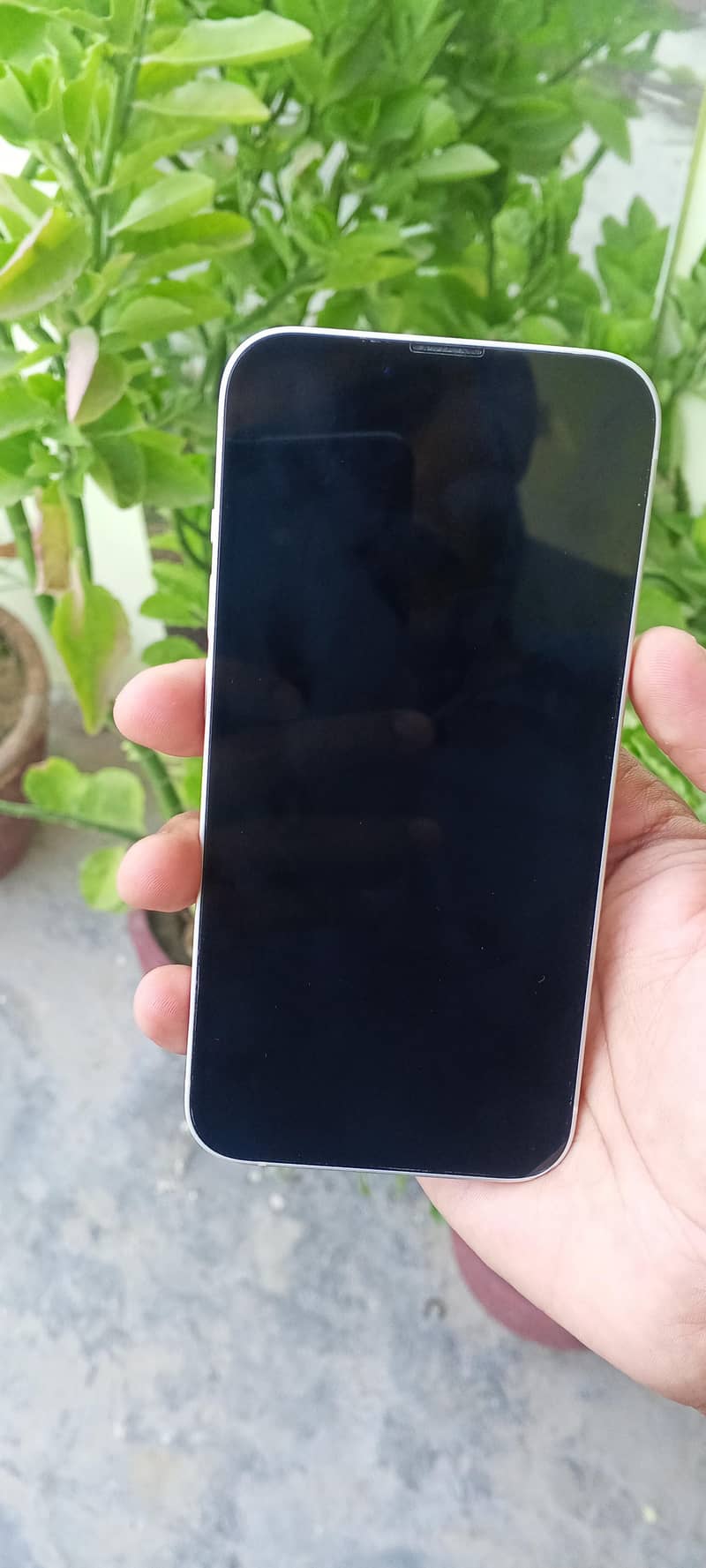 Apple iPhone 14 5