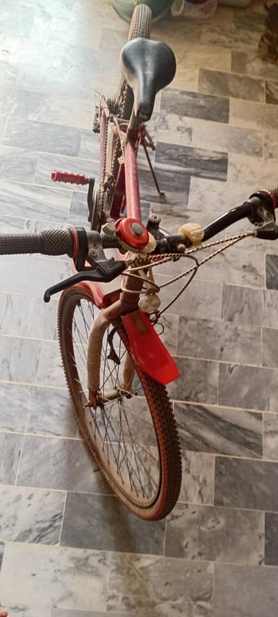 Gear Bicycle