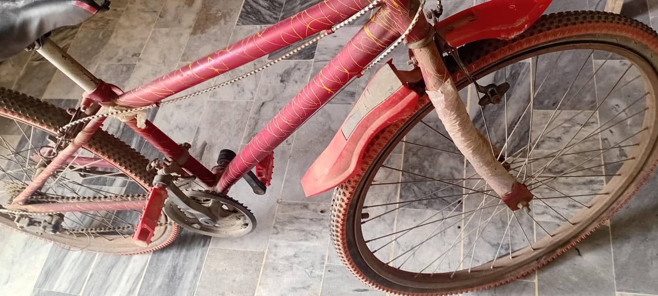 Gear Bicycle 1