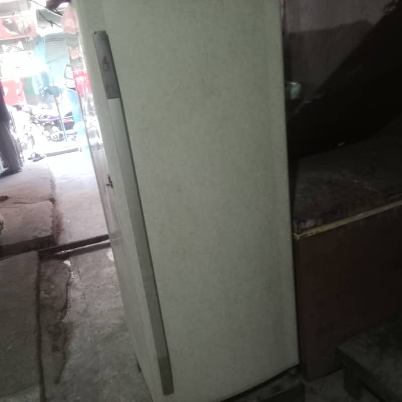 Vertical freezer 3
