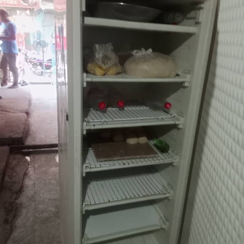 Vertical freezer 4