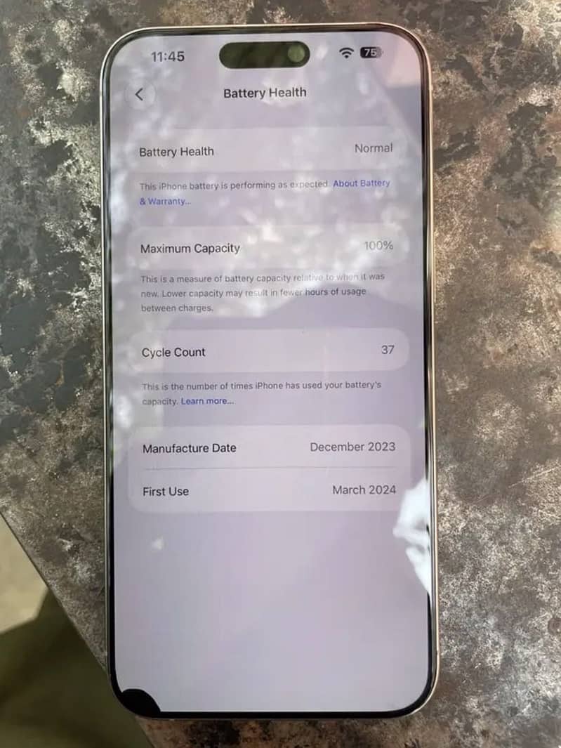 Apple iPhone 15 Pro Max 3