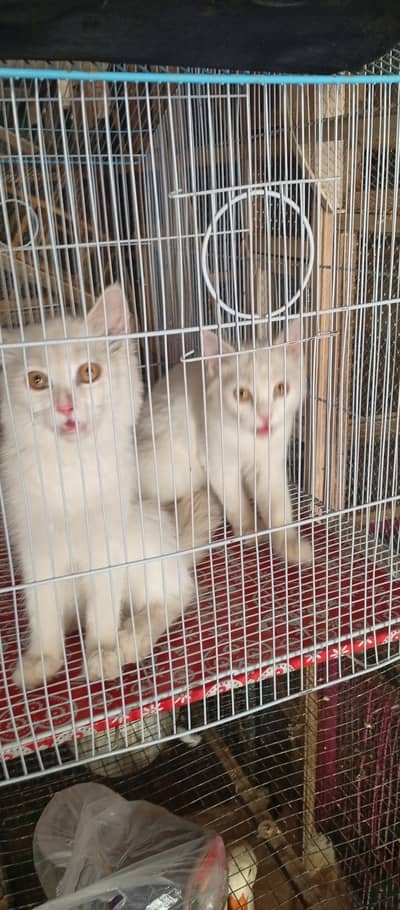 For sale