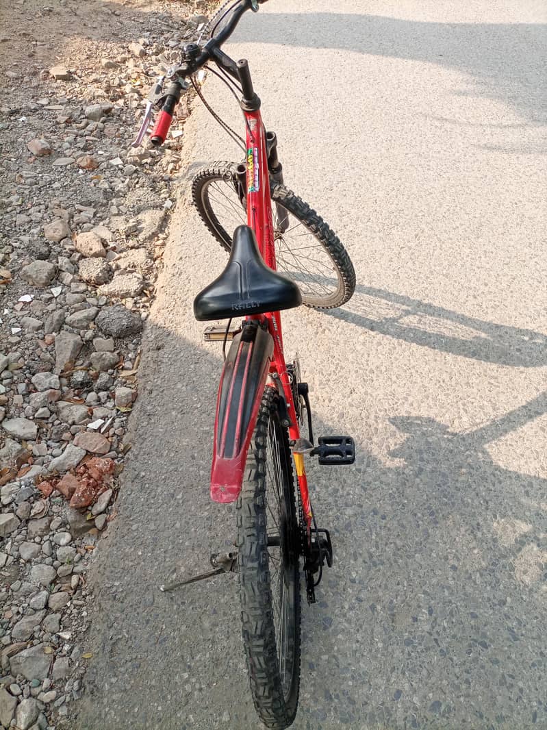 bicycal 1