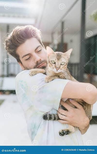 cat and house keeper