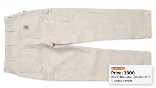 carhartt paint