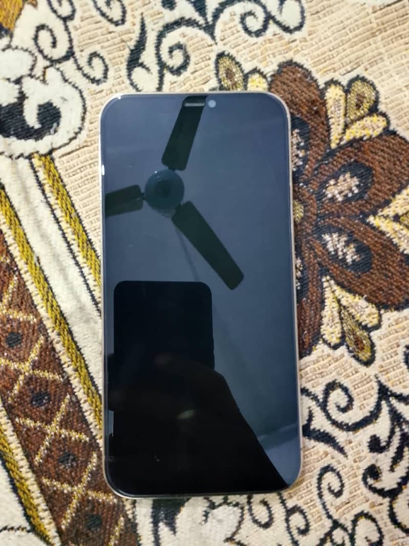 Apple iPhone 12 Pro Max 3