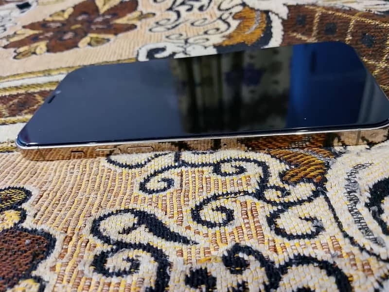 Apple iPhone 12 Pro Max 5