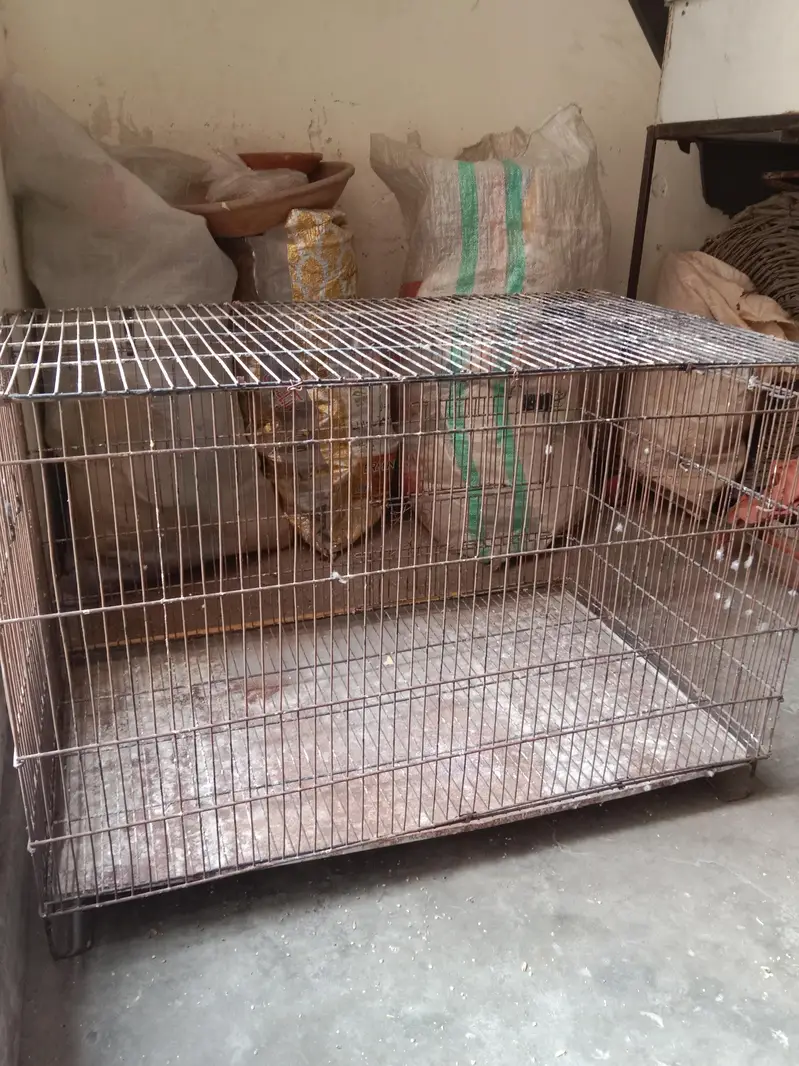 2.5*1.5*1.5 cage .   03330031118 — photo 3