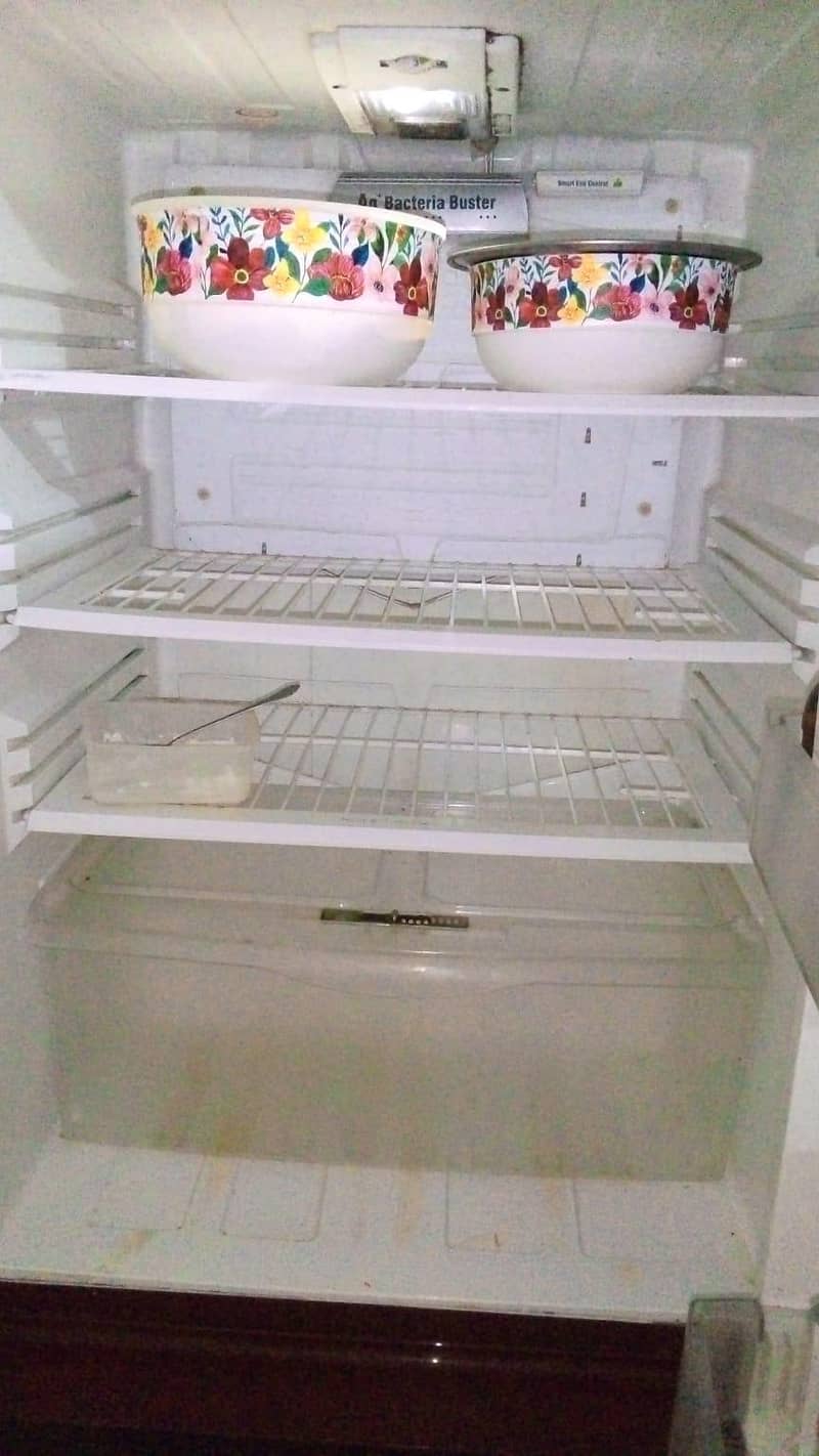 PEL Refrigerator 1
