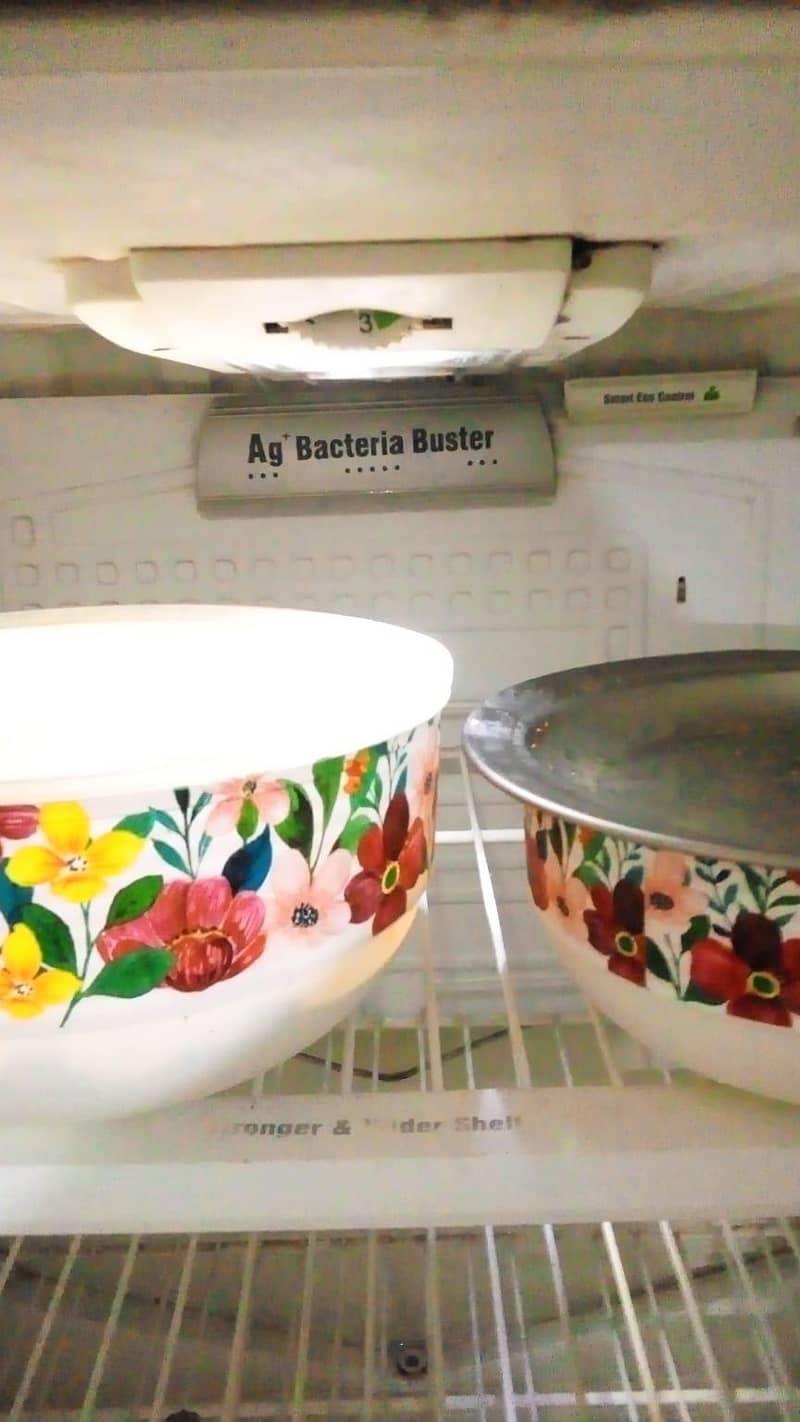 PEL Refrigerator 2