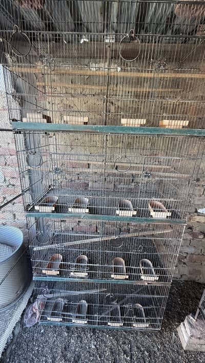 Cage for sale