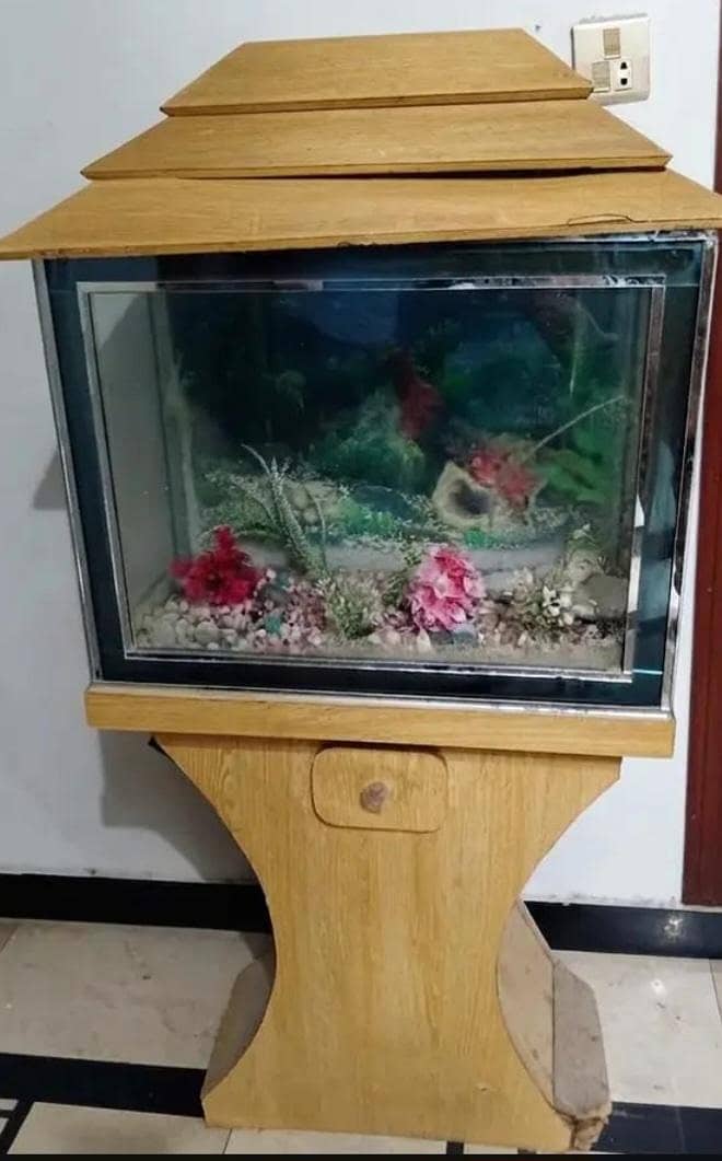 fish aquarium 1