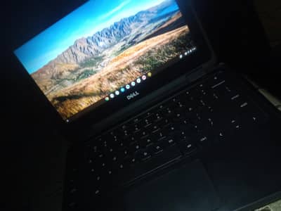 Dell 3189 Chromebook 360 4gb;ddr4 ram