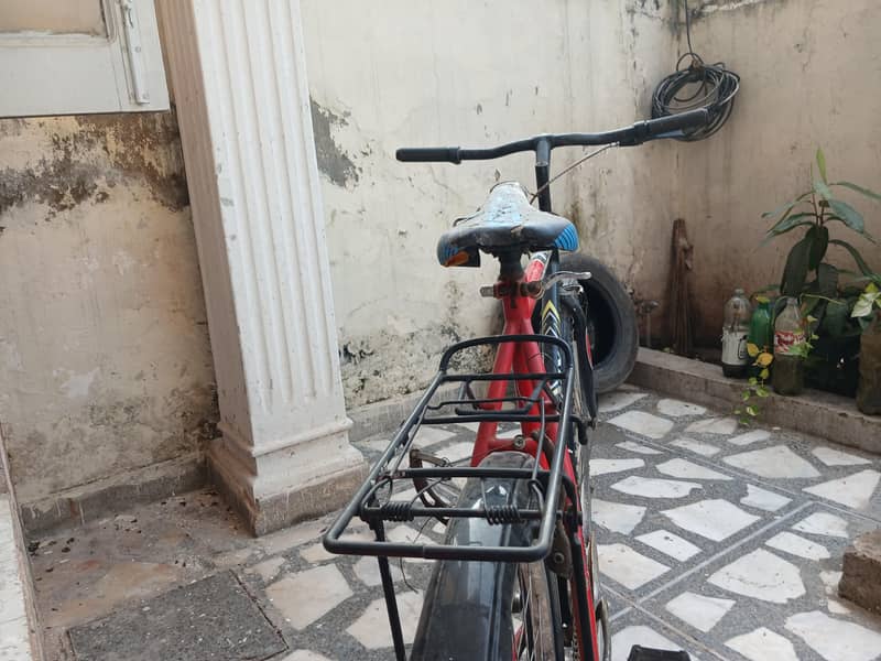 Phoenix Bicycle(Old School) 1