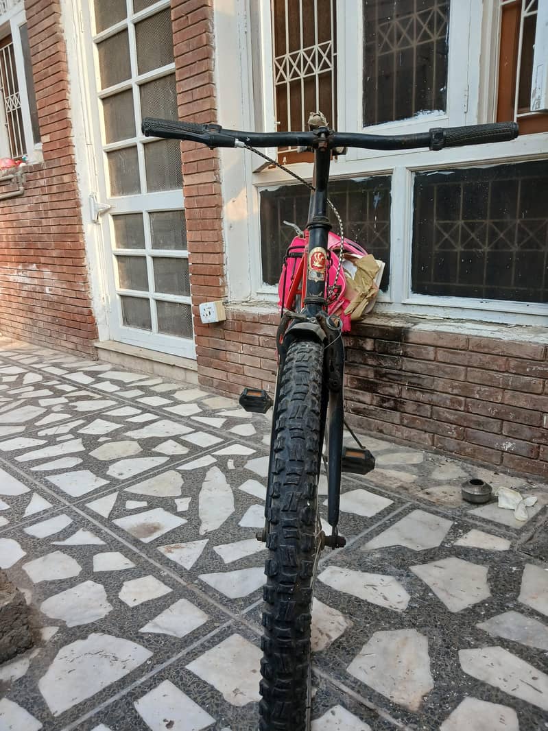 Phoenix Bicycle(Old School) 3