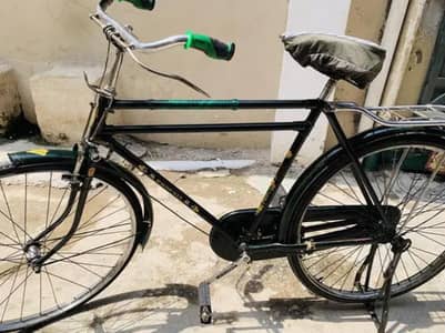 China cycle phoenix for sale 0325=3311626 Whatsapp number