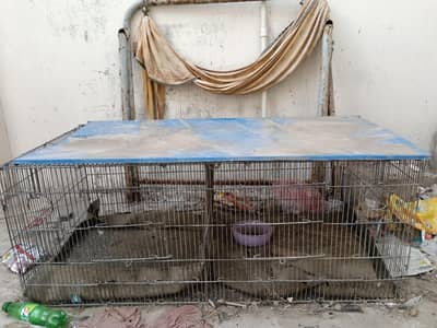 pinjra (urgent sale) plz serious Byer contect