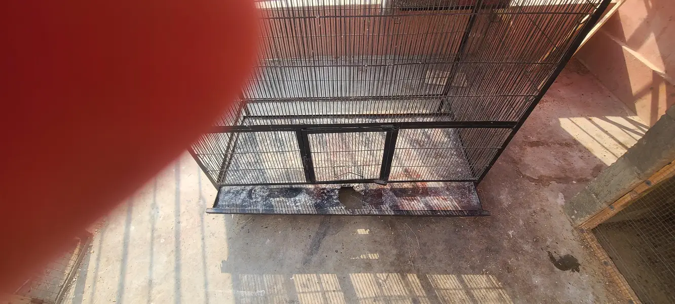 LARGE COLONY CAGE FOR ALL TYPES OF BIRDS — photo 5