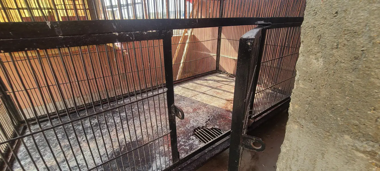 LARGE COLONY CAGE FOR ALL TYPES OF BIRDS — photo 8