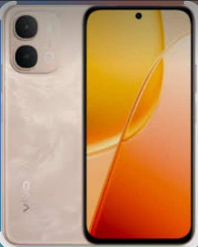 Vivo Y31    8+8 /256