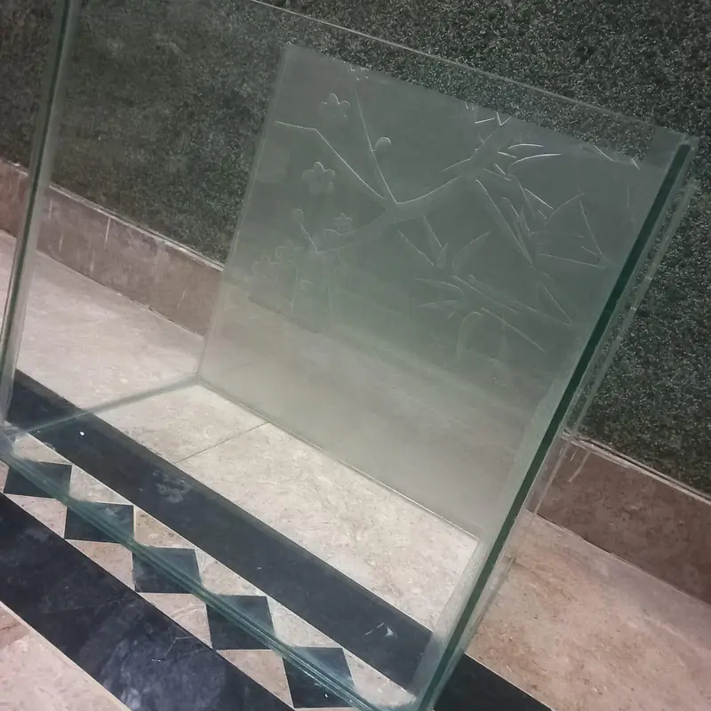 fish and aquarium for sale — photo 4