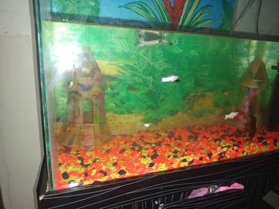 aquarium for sale size 2*1.5*1