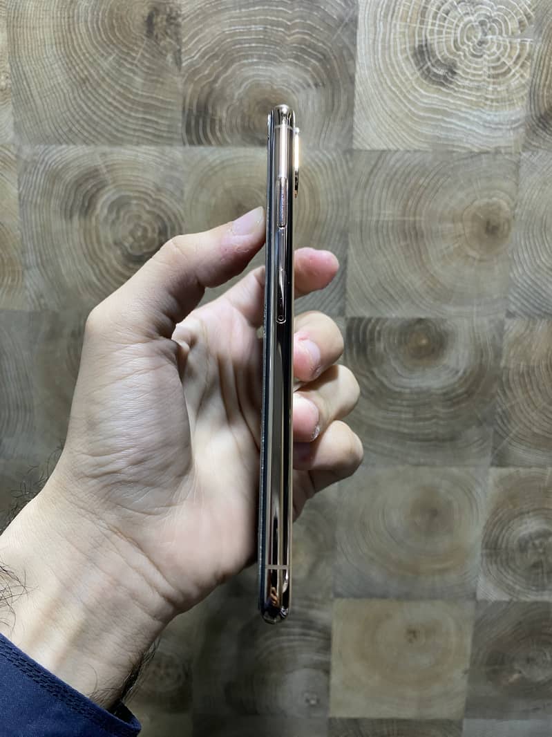 Apple iPhone XS Max 2