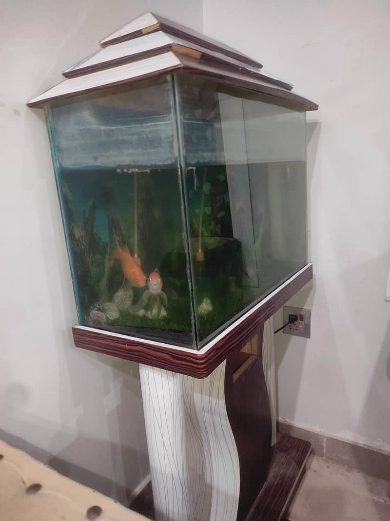 Fish Aquarium 1
