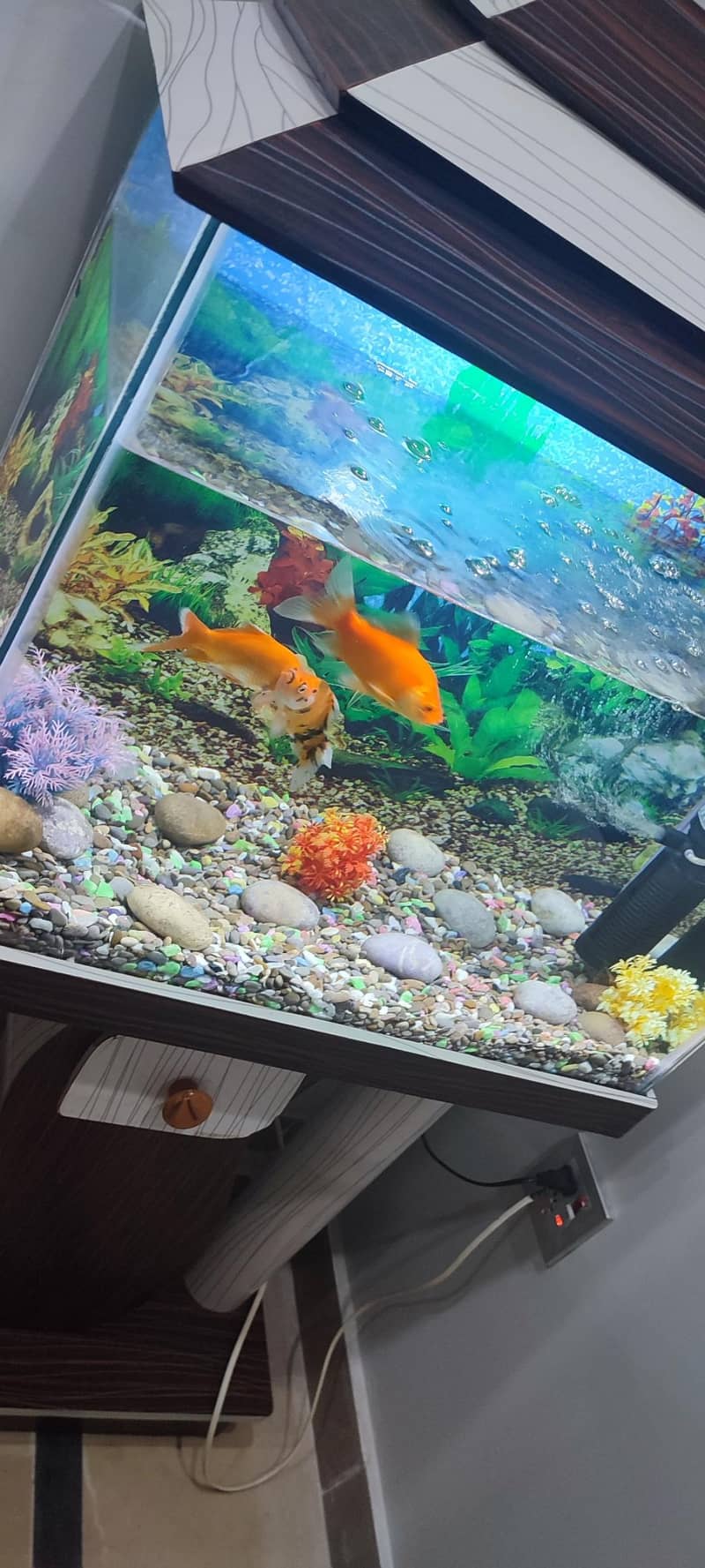 Fish Aquarium 2