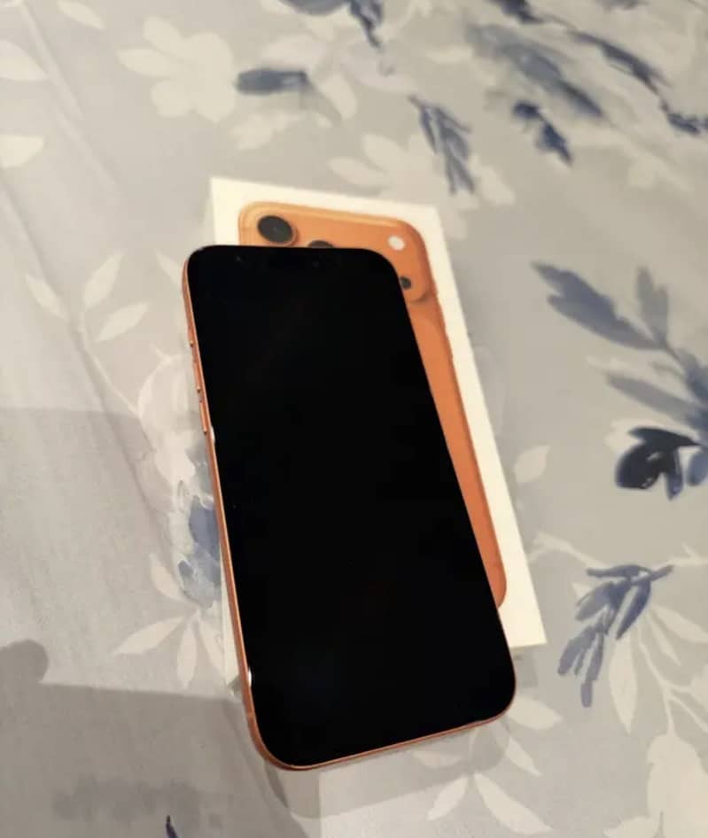 Apple iPhone 17 Pro Max 3