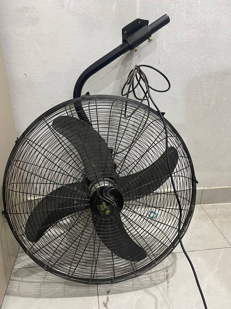 Large full size Fan 0