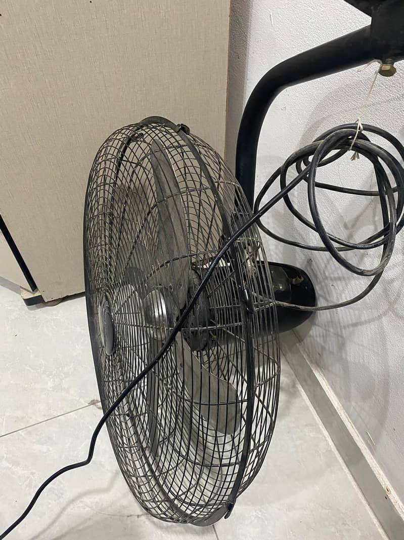 Large full size Fan 1