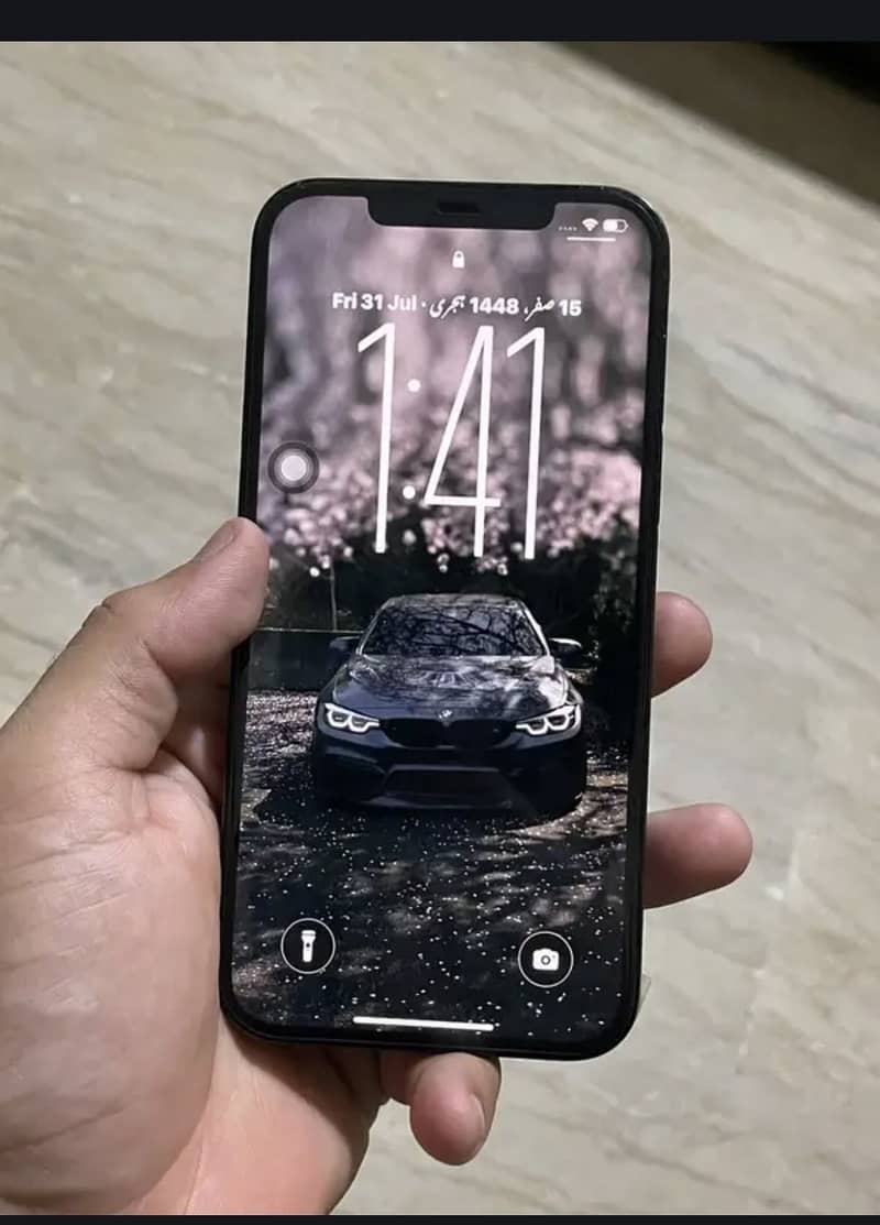 Apple iPhone 12 Pro Max 0