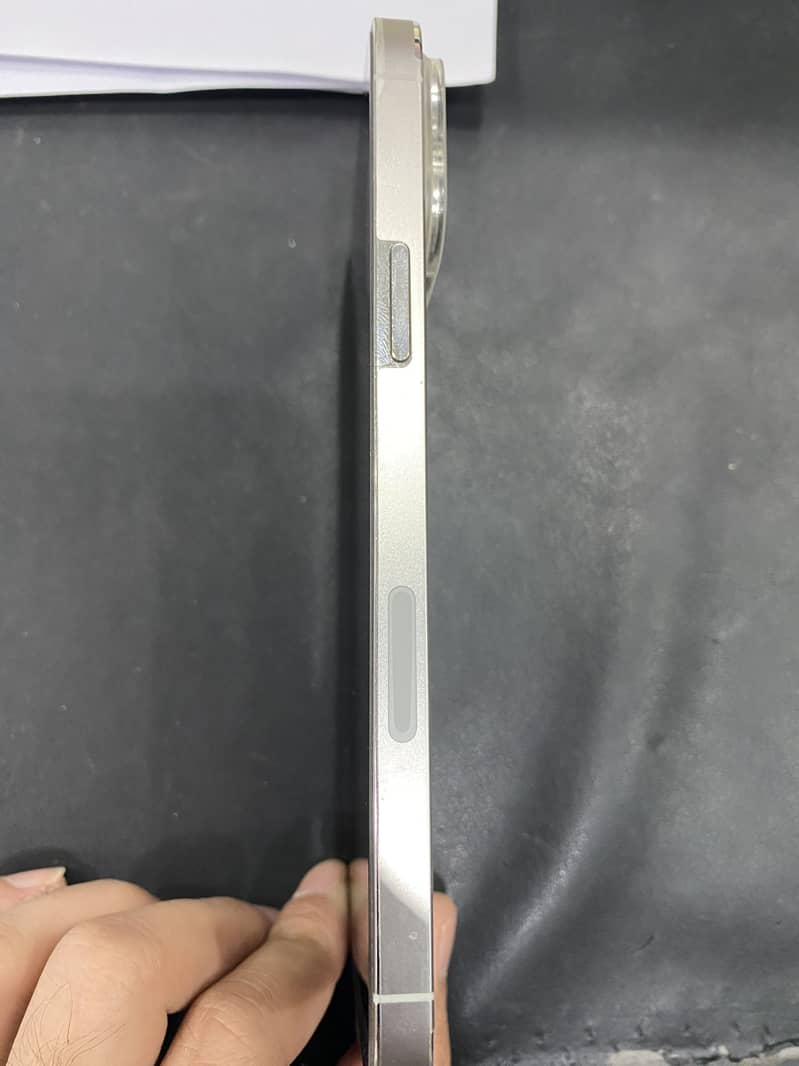 Apple iPhone 13 Pro Max 1