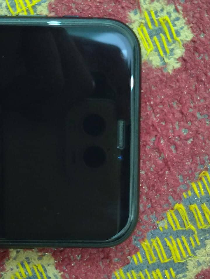 Apple iPhone XR 6
