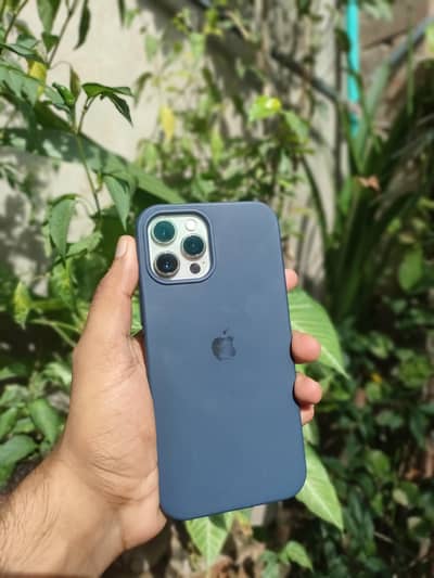 iPhone 12 pro max