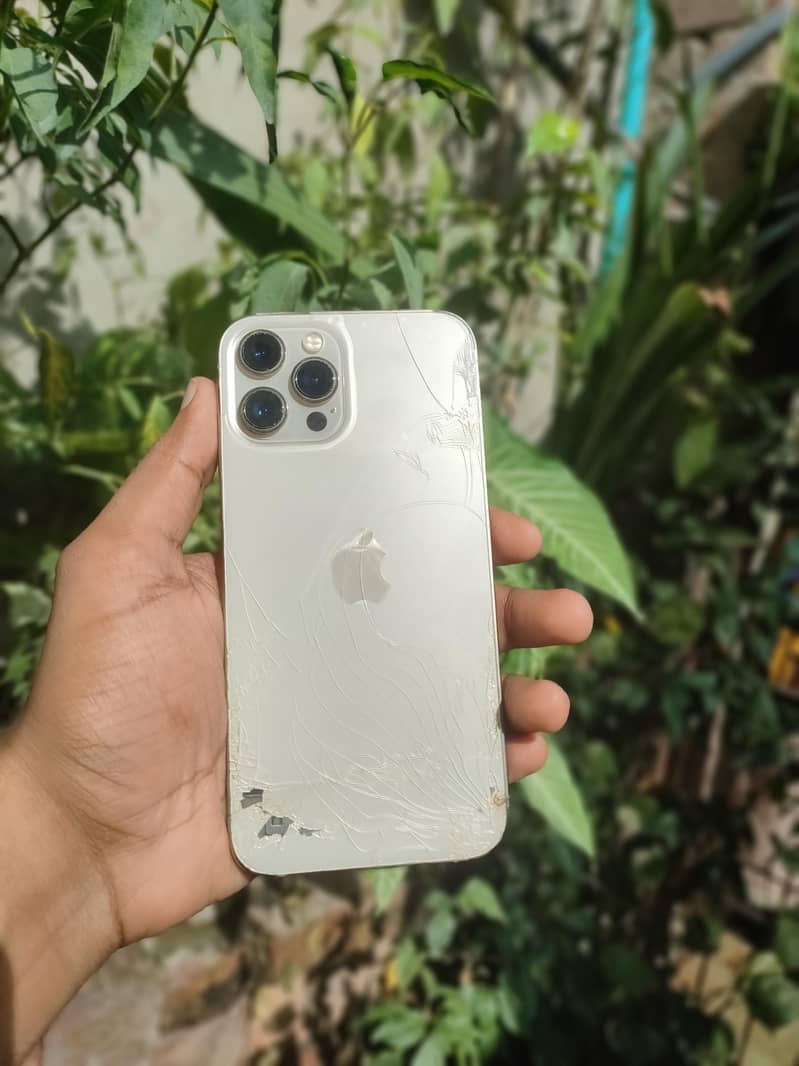 iPhone 12 pro max 2