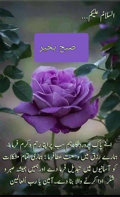 Kamran