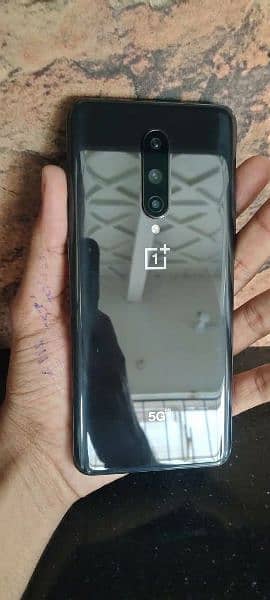 one plus 12+4 256 0
