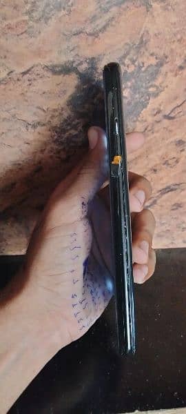 one plus 12+4 256 1