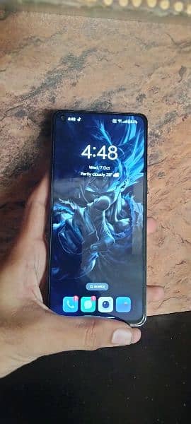 one plus 12+4 256 2