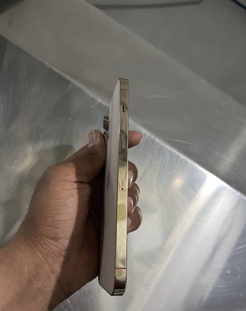 Apple iPhone 12 Pro Max 2