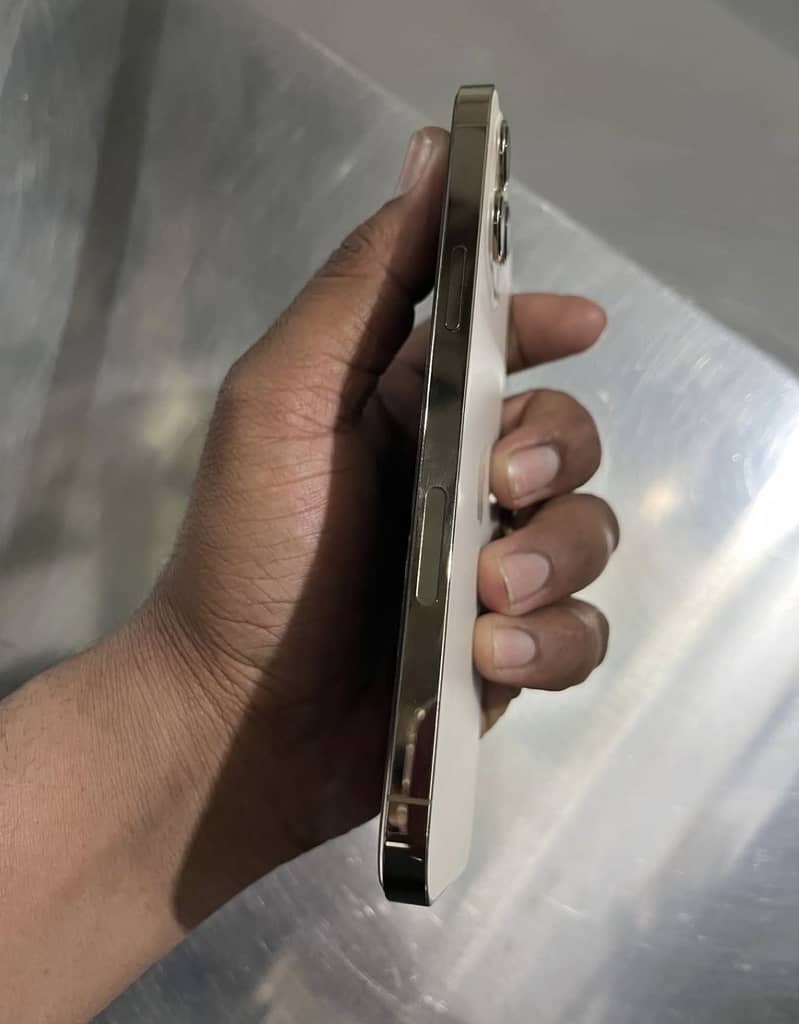 Apple iPhone 12 Pro Max 3