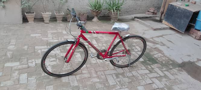 HK Sports Cycle Typhoon