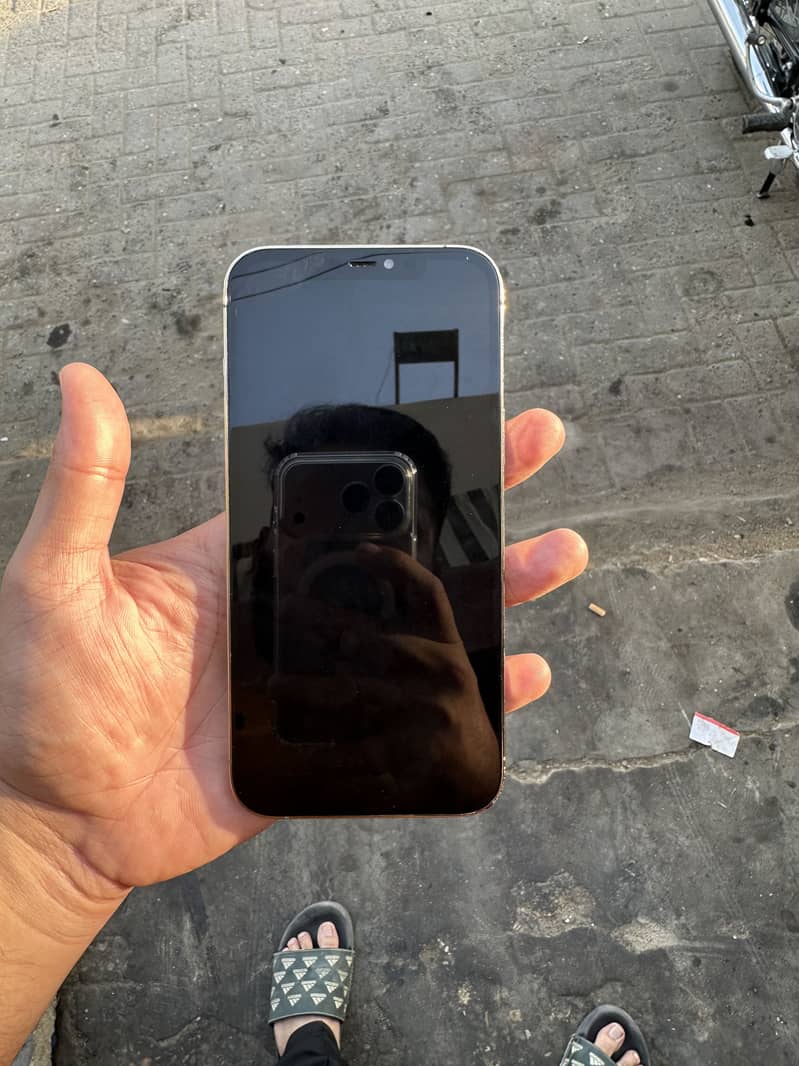 Apple iPhone 12 Pro Max 1