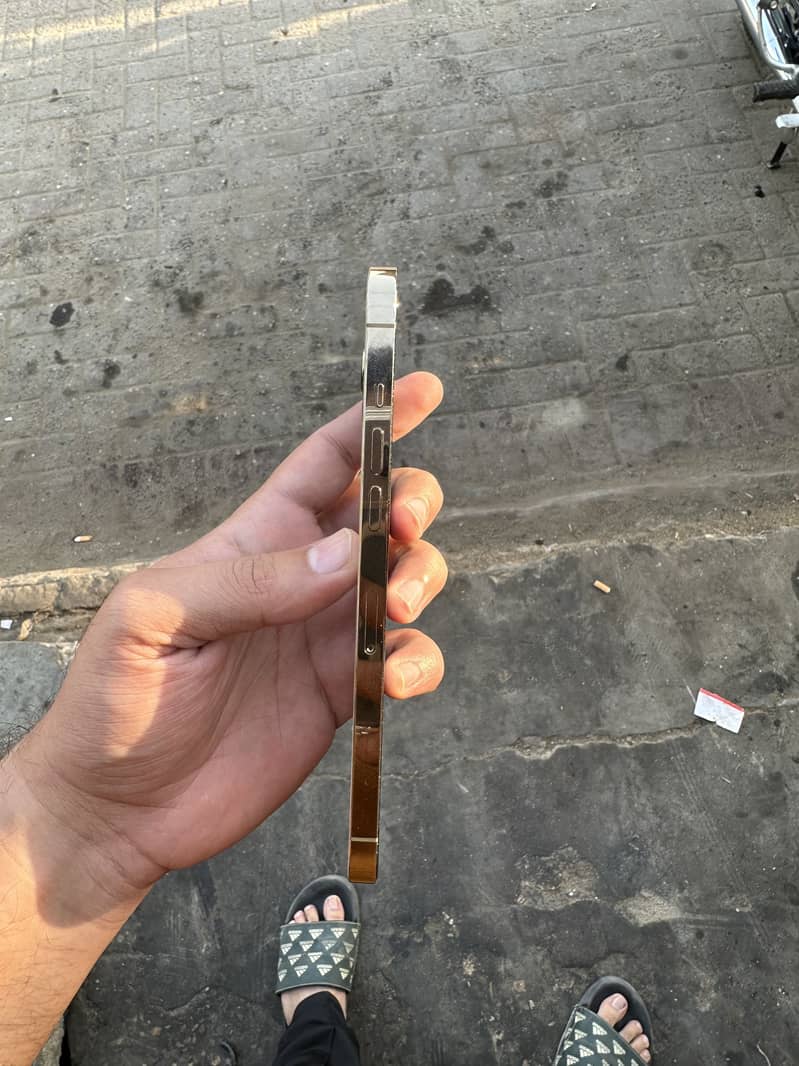 Apple iPhone 12 Pro Max 6