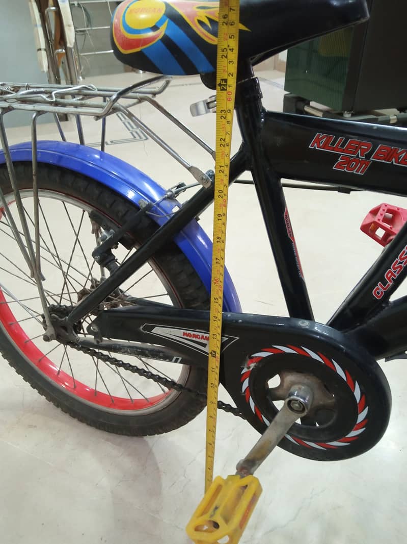 Morgan cycle 1